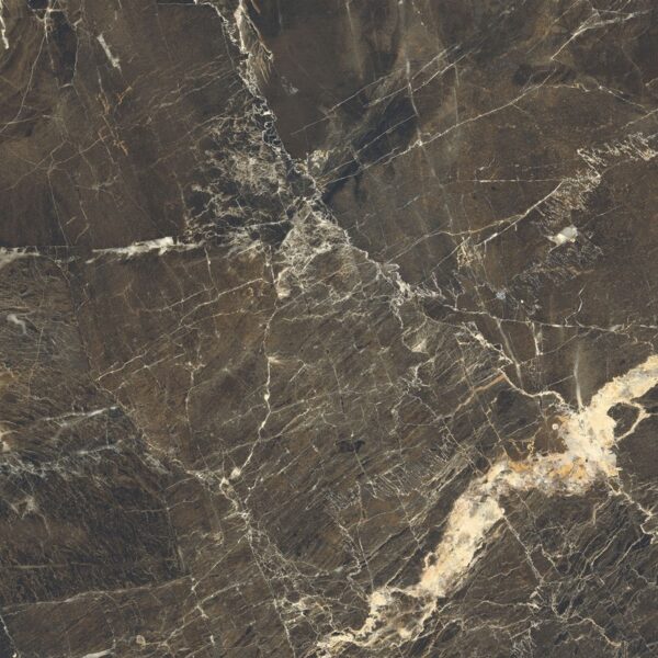 Duke Stone Polished Porcelain Tile