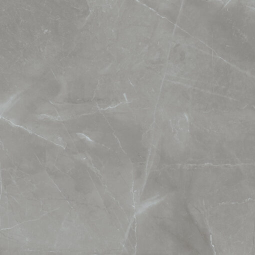 Grey Pulpis MI
