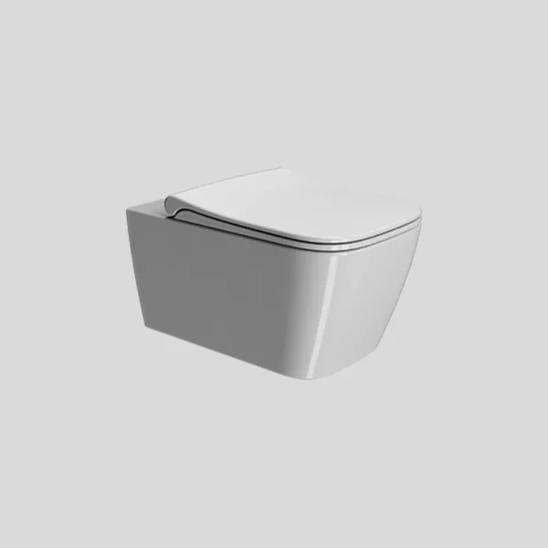 GSI Nubes 55 Swirlflush Rimless Wall Hung Pan