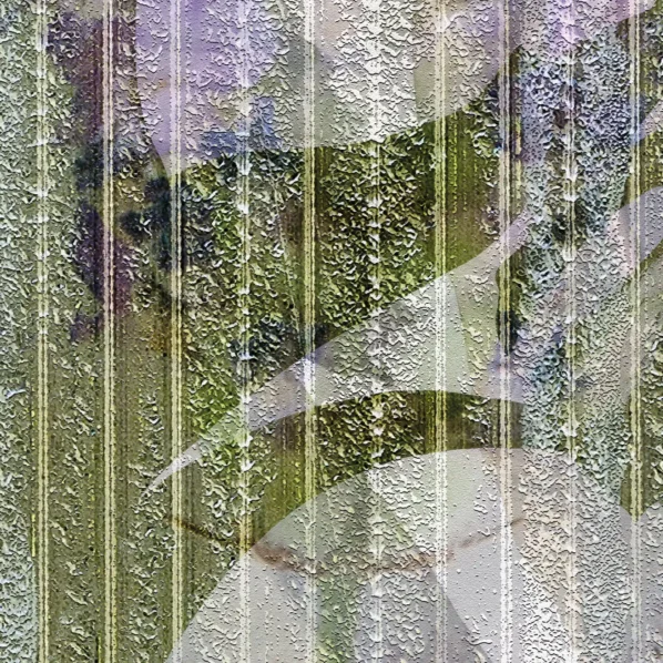 RAIN 1to1 Detail