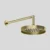 Polished Brass