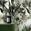 Rainforest Lifestyle 1