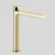 Polished Brass