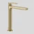 Brushed Brass