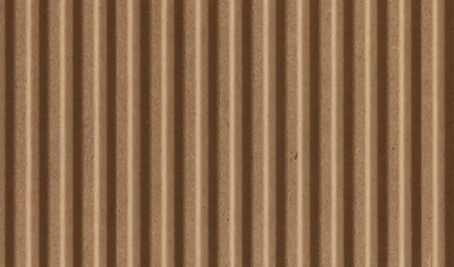 product___hw240101___panel___photo