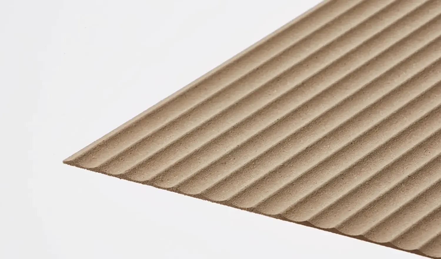 product___hw240601___detailed___photo product___hw240601___detailed___photo