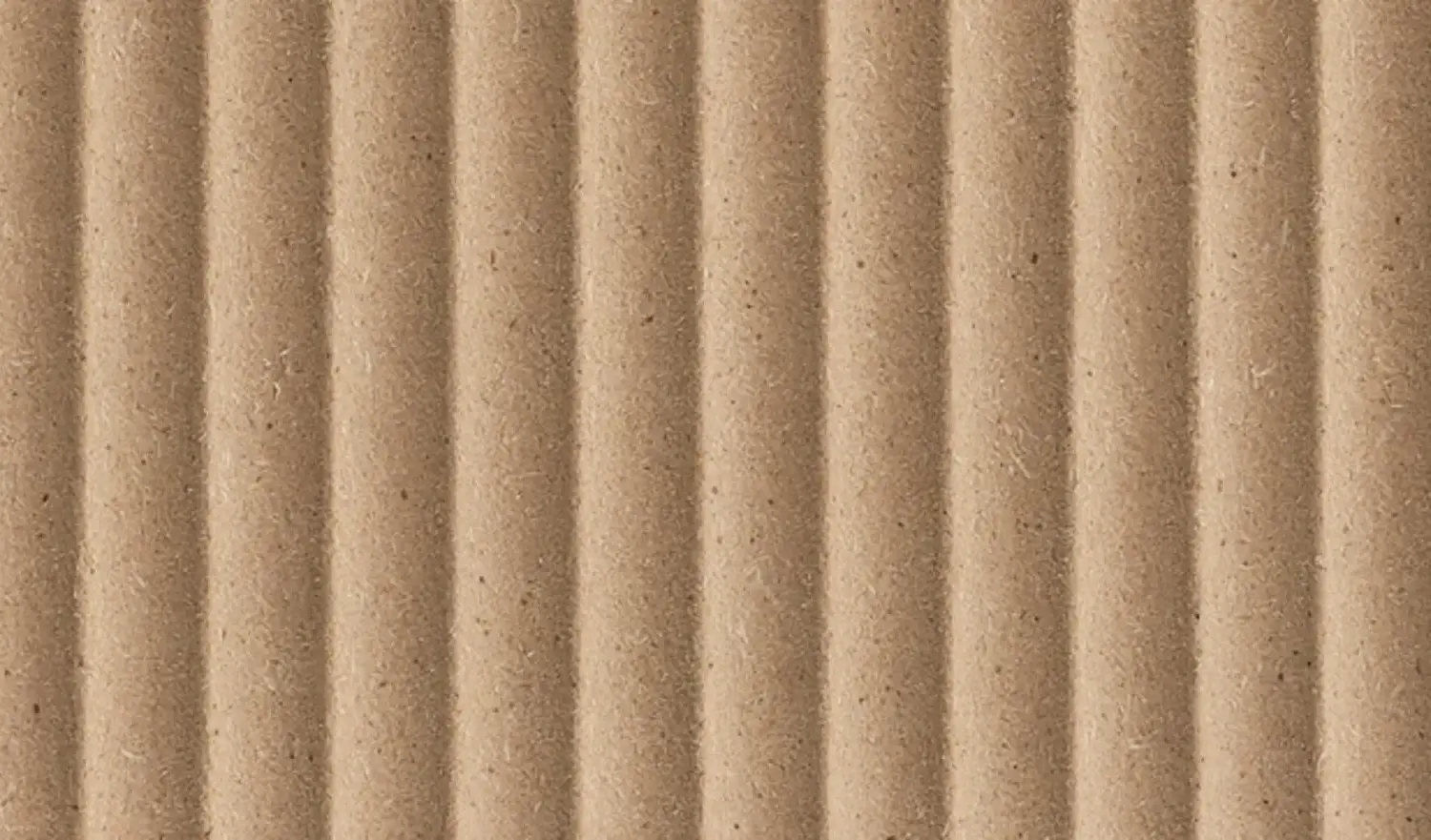 product___hw240601___panel___photo